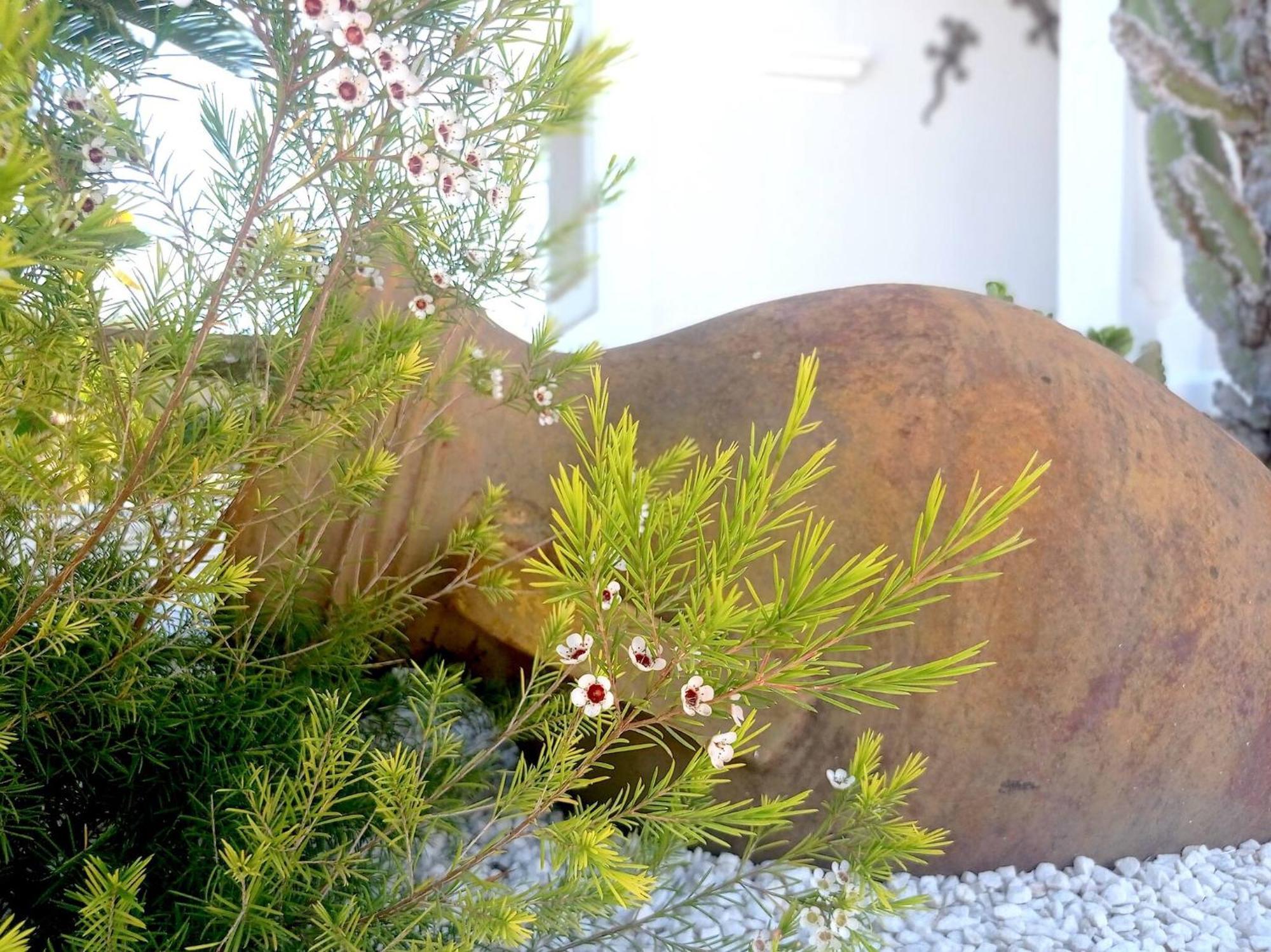 Villa Juncos Can Furnet Exterior foto