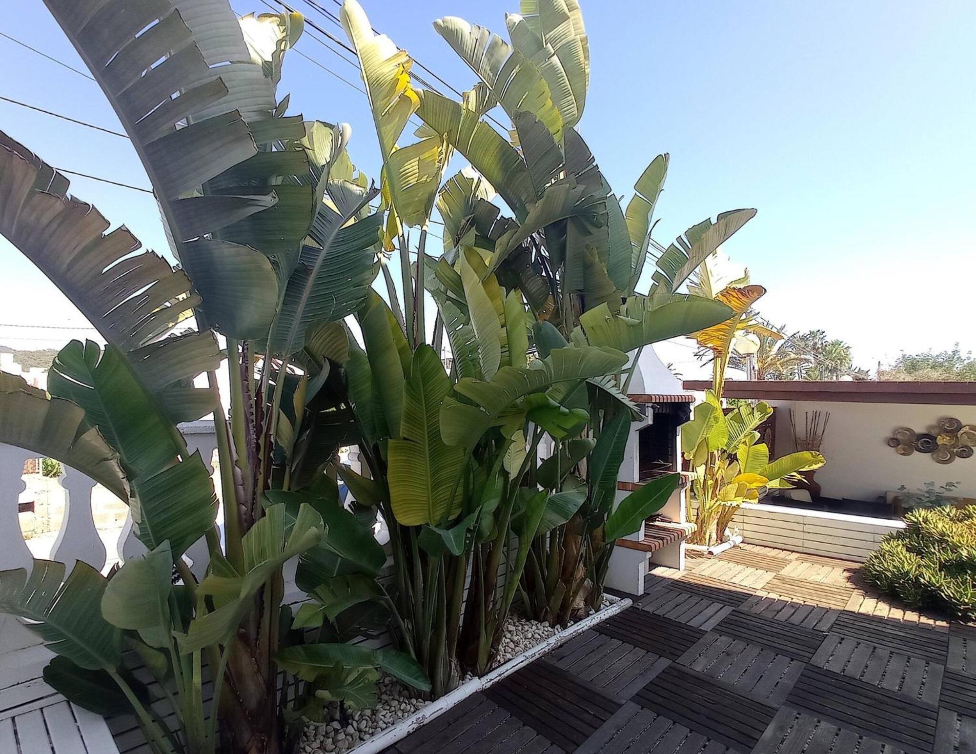 Villa Juncos Can Furnet Exterior foto